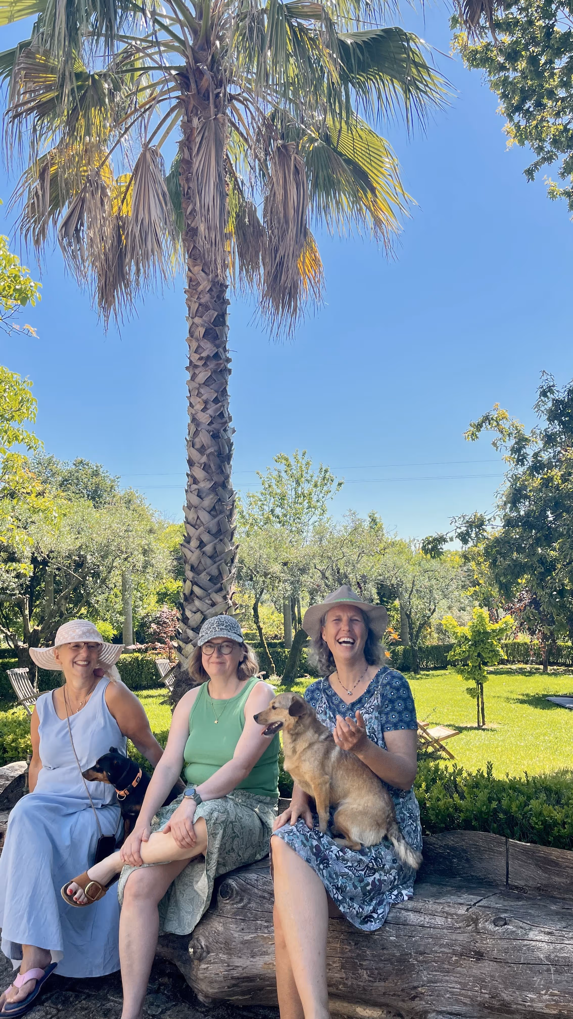 Três mulheres com chapéus sentadas com cães no jardim ensolarado da Casa da Seara