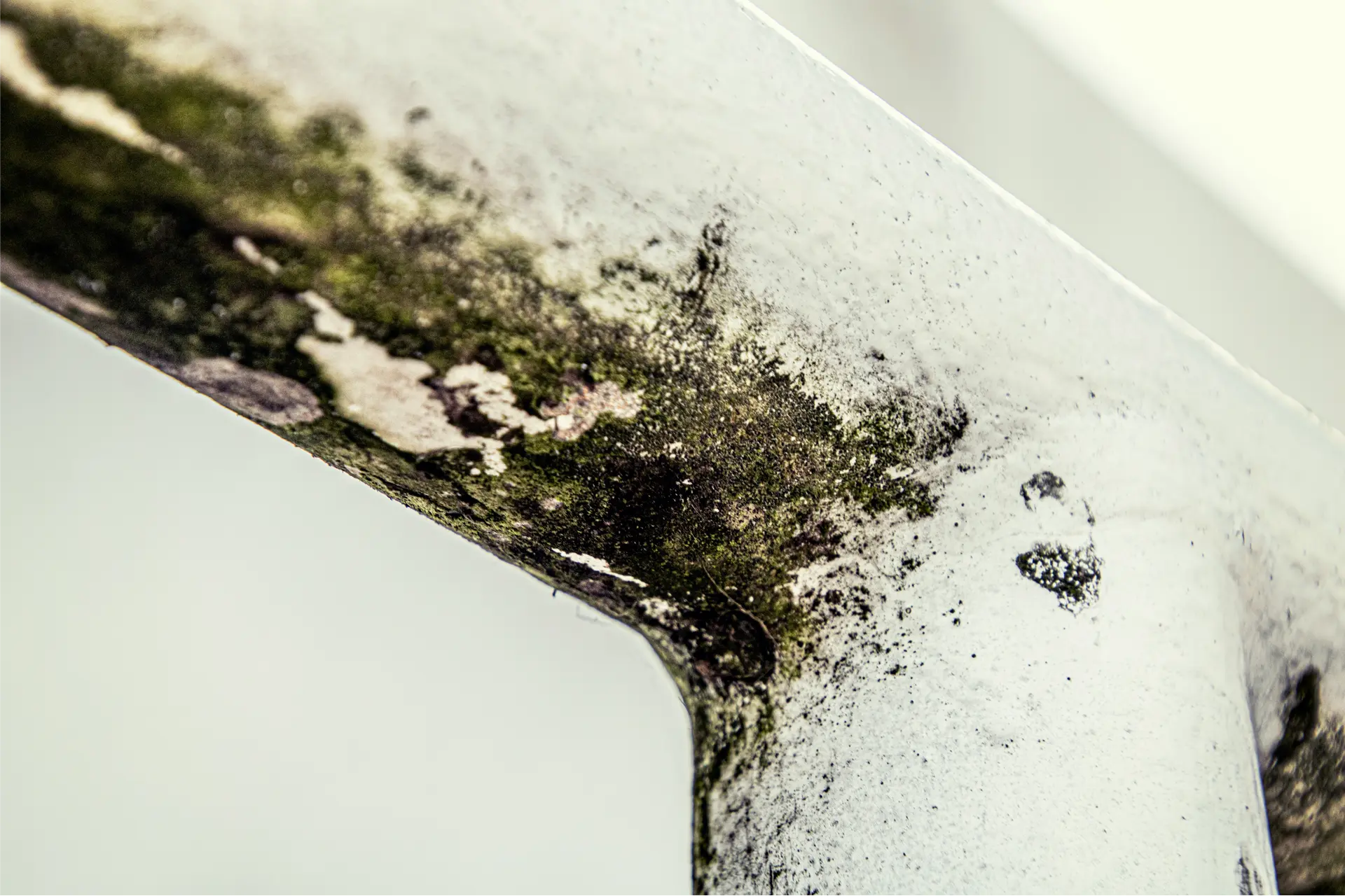 How Poor Ventilation Leads to Mold Growth