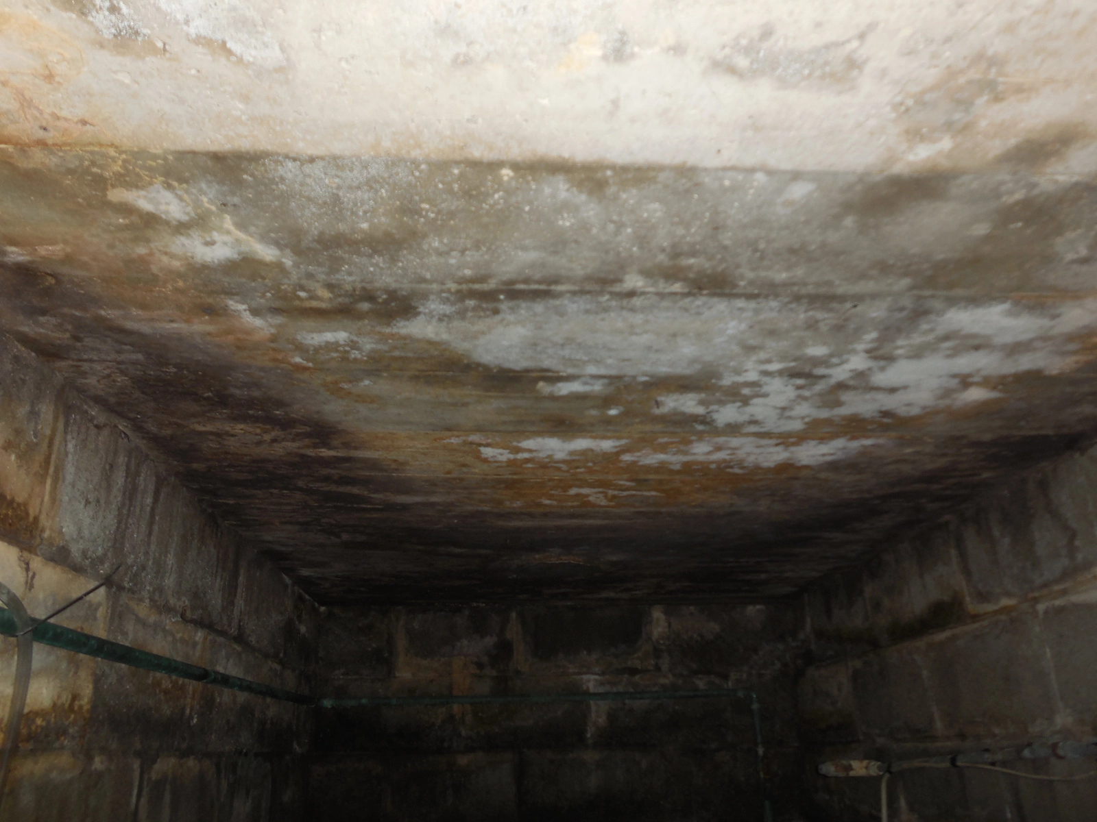 Crawl Space Moisture: The Hidden Threat Below Your Home