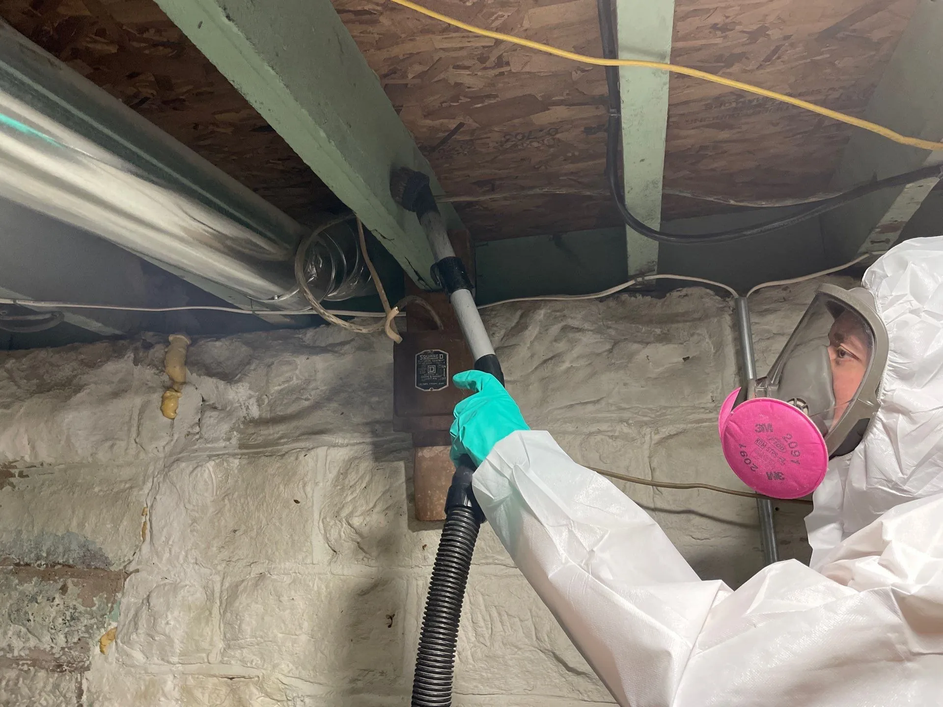 Fogging for Mold: Does It Really Work or Just Mask the Problem?