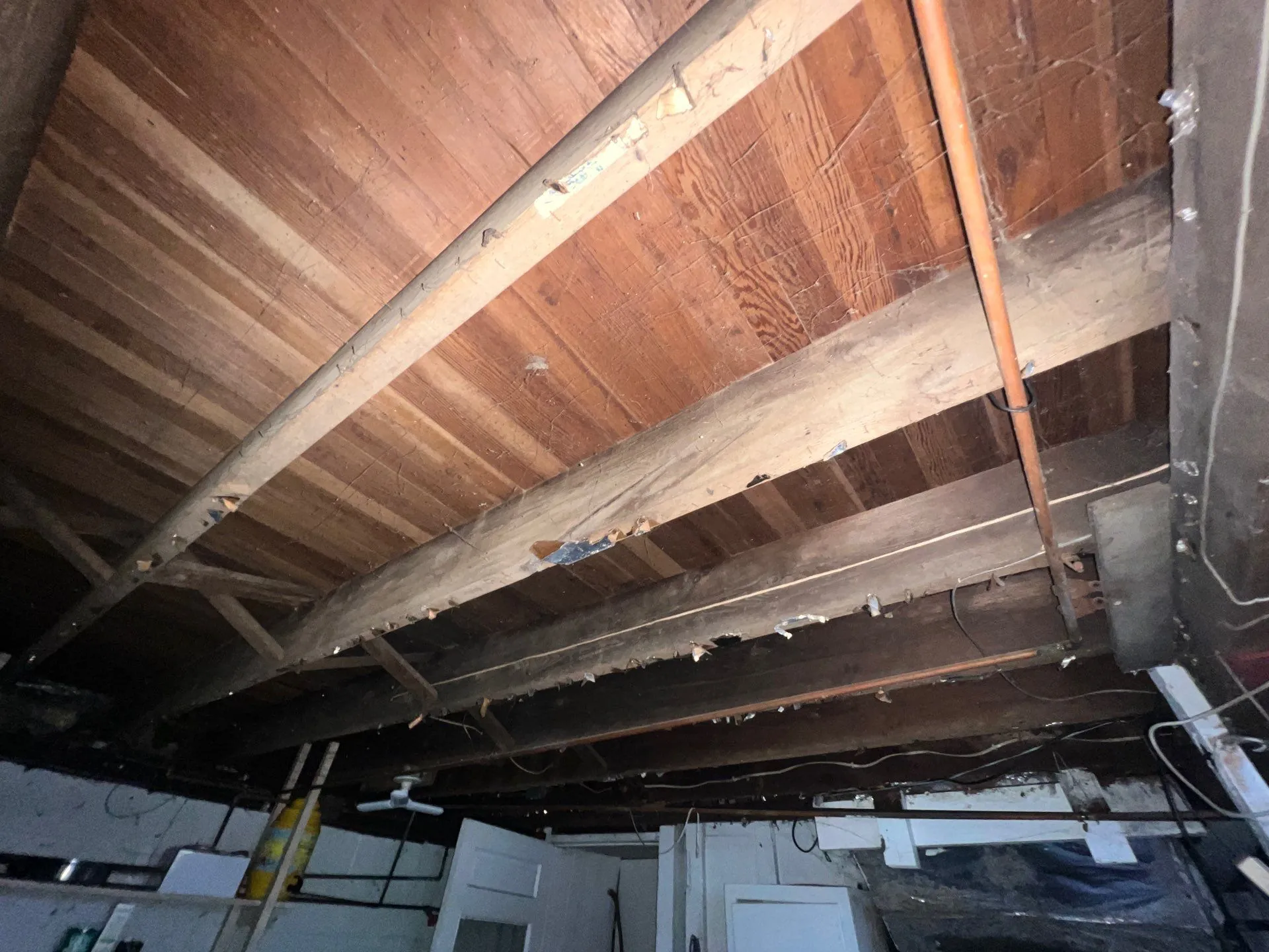 Mold Removal: What Homeowners Should Expect