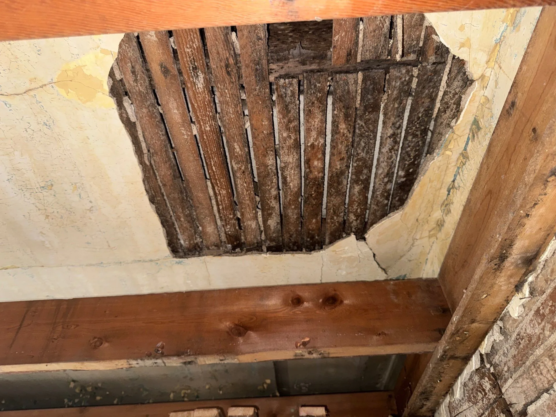 Fall Mold Prevention Starts in the Attic