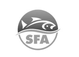 conservation international logo