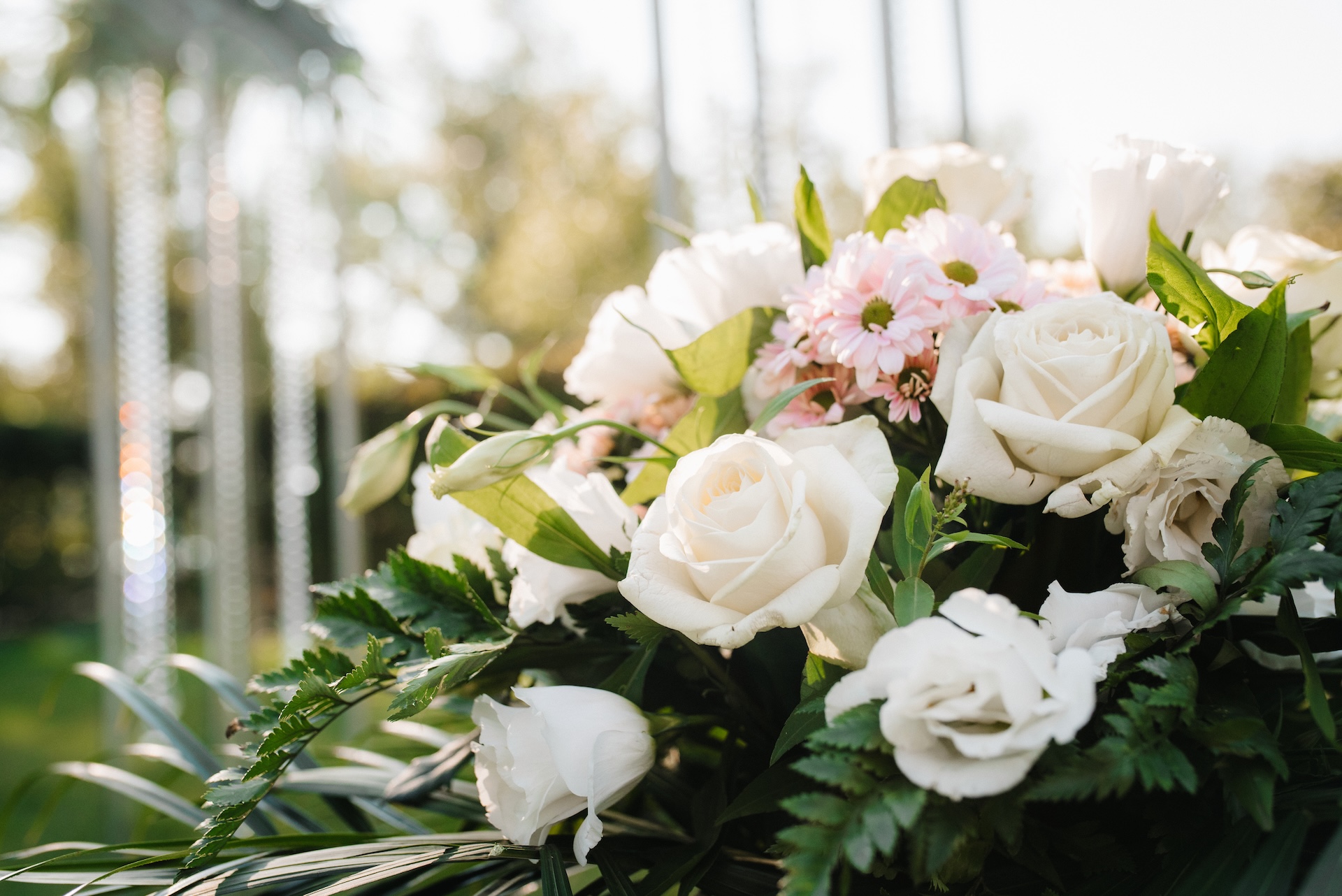 Bouquet of white roses, pink daisies, and green leaves with soft outdoor background.