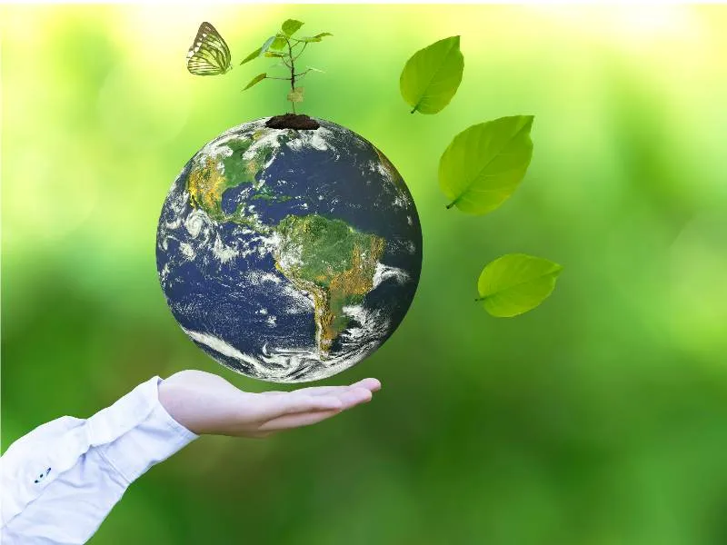 Sustainability and Climate Risk Management in Agriculture