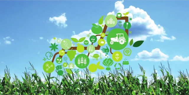 Innovations in Crop Protection for Sustainable Farming