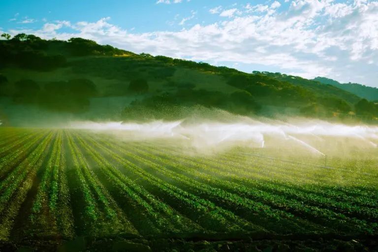 Importance of Water Technologies for the Future of Agriculture