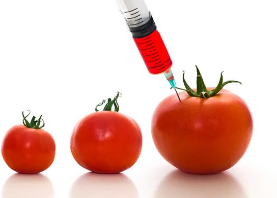 Genetically Modified (GM) Food: Answer to Food Security and Sustainability?