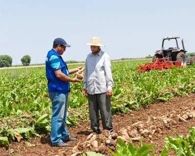 Aggregation Model: Enhancing Value Chain in Agriculture