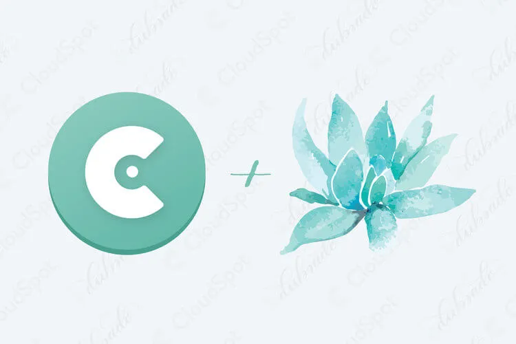 CloudSpot and Dubsado: The Ultimate Business Management Duo