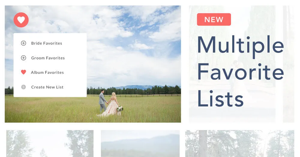 โจNEWโจ Multiple Client Favorite Lists