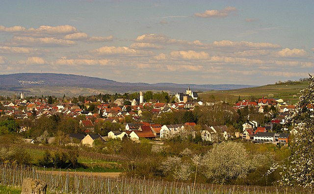 Immobiliengutachten Ingelheim Immobiliengutachten Ingelheim