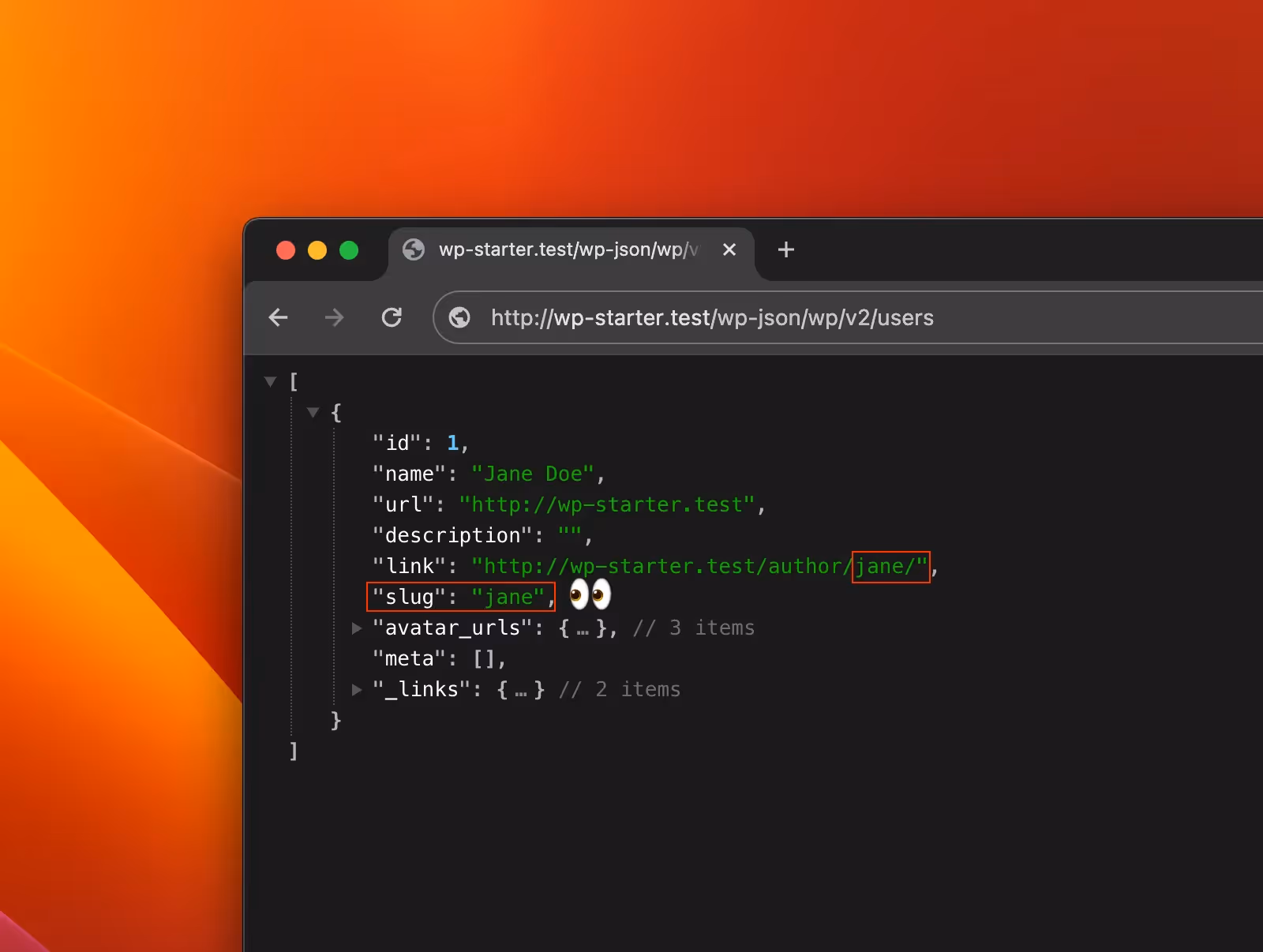 A screenshot showing the WordPress REST API exposing usernames.
