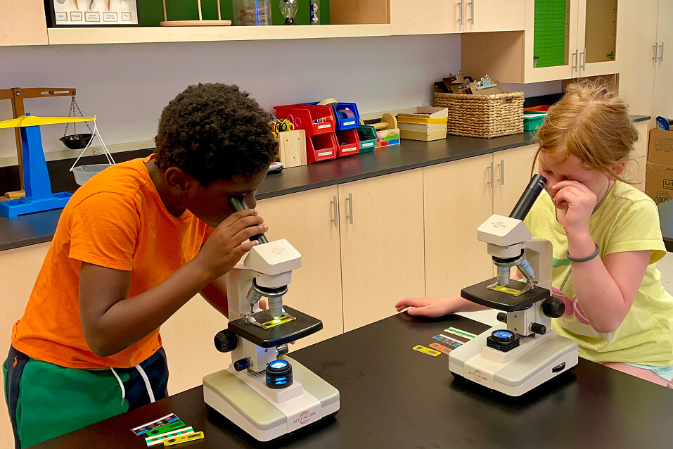 Two Long Ridge students study microscope slides.