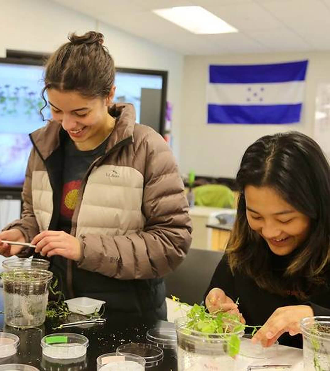 Two Thornton Academy students working on a biology project growing plants in cups of water.