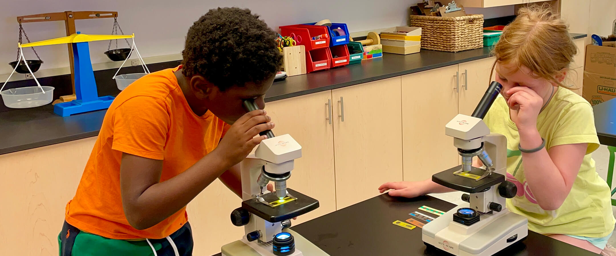 Two Long Ridge students study microscope slides.