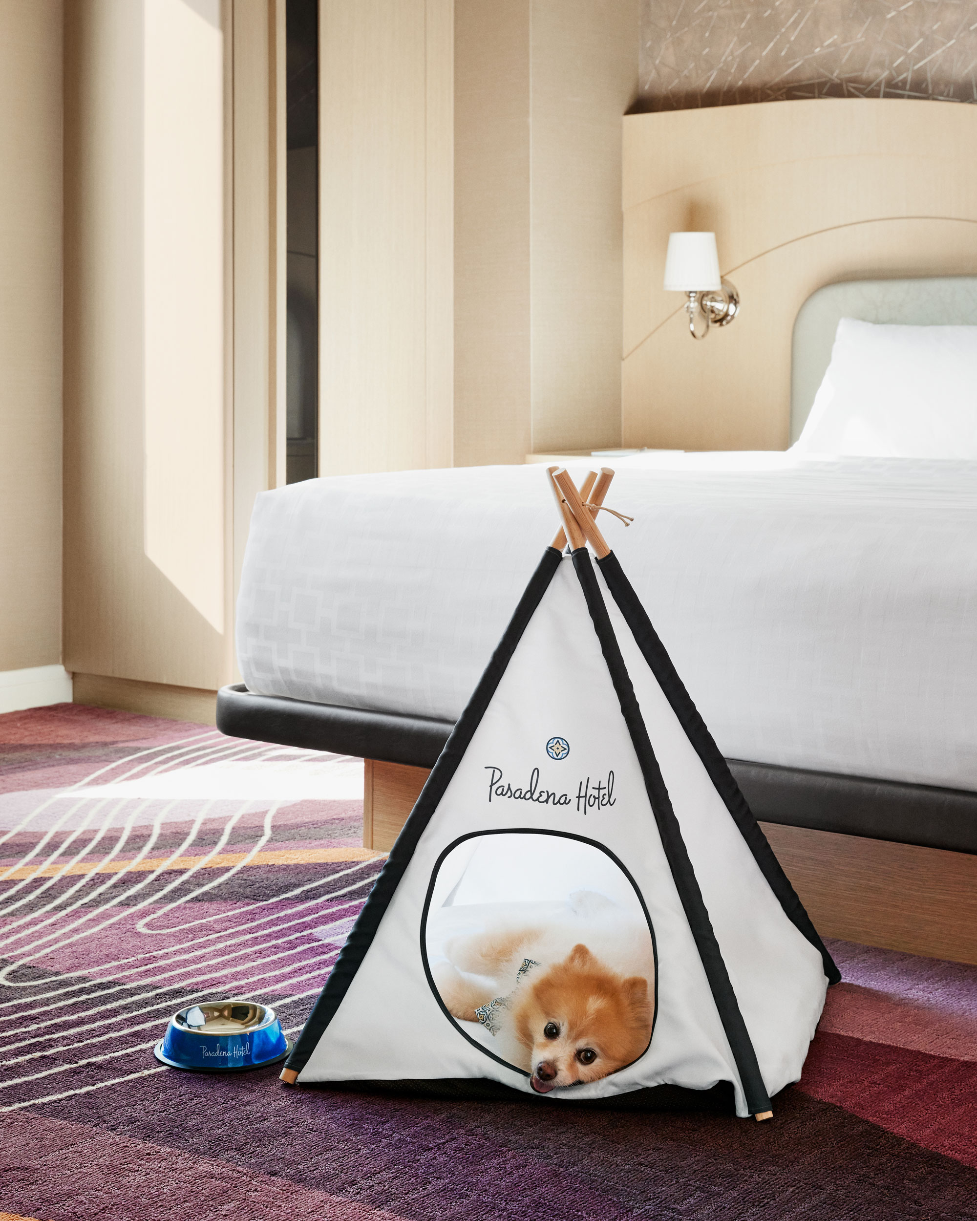 Pamper Your Pet