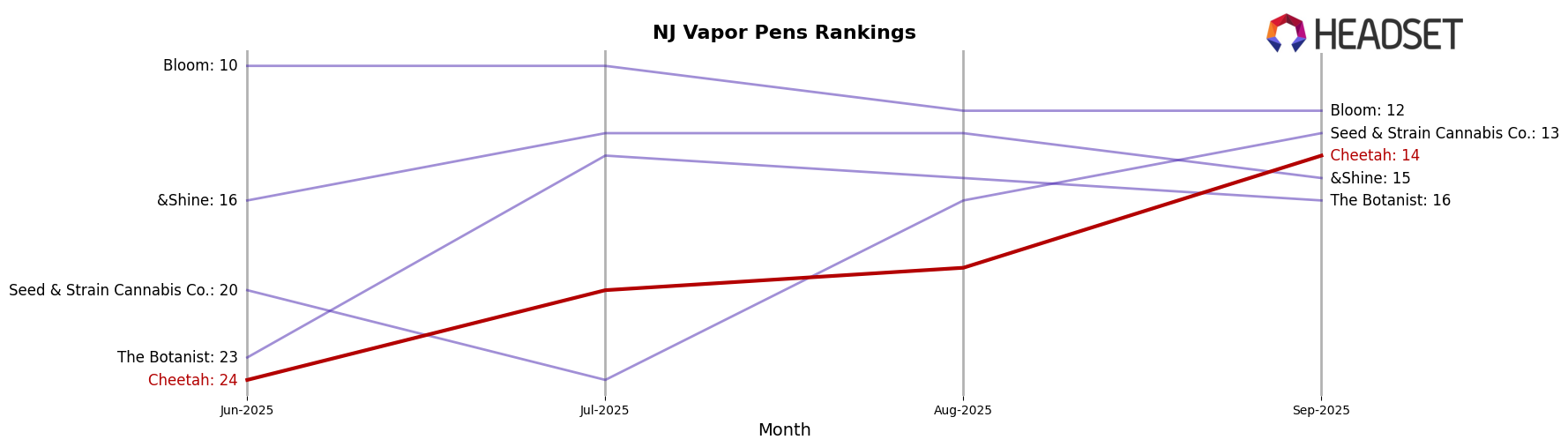 Cheetah market ranking for NJ Vapor Pens