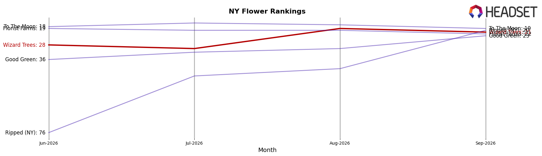 Wizard Trees market ranking for NY Flower