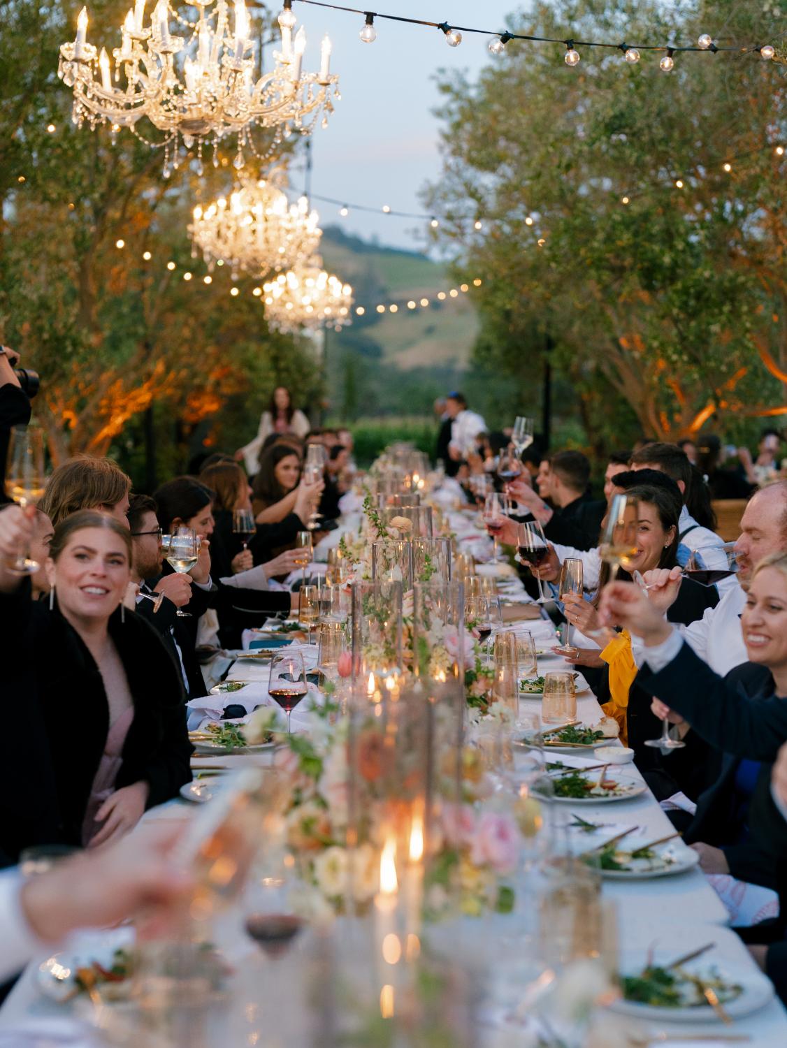 Vineyard wedding dinner under bistro strings