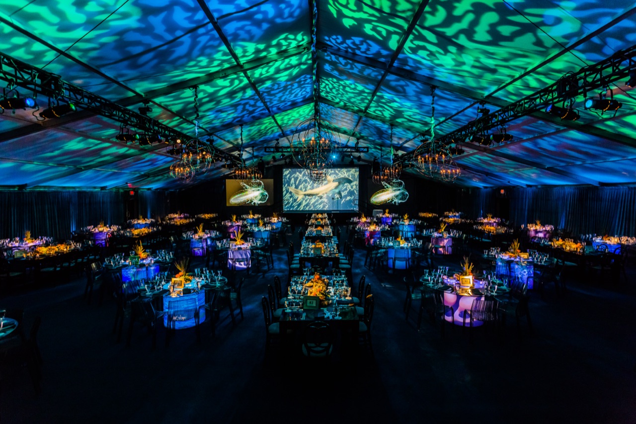 A vast gala tent glows under green and blue water-ripple gobo projections across the ceiling above uplit dinner tables and dual video screens by Impact.