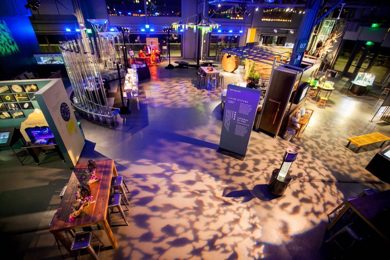 Impact's blue uplighting and leaf gobo washes light the exhibit floor of an evening event at the Exploratorium.