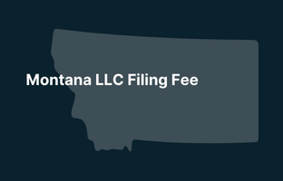Graphic image of Montana state silhouette in grey on a dark teal background with white text that says 'Montana LLC Filing Fee' positioned on the left side