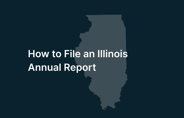 Illinois state map with annual report filing guide title