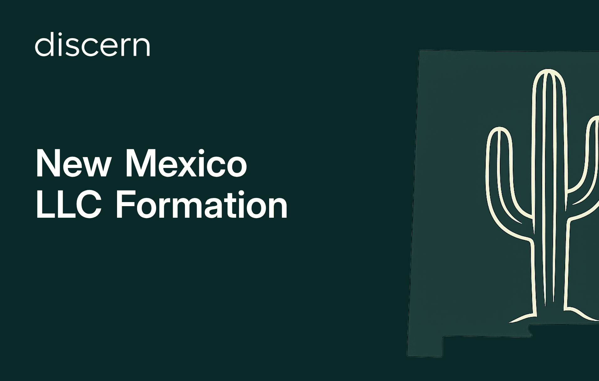 Discern: New Mexico LLC Formation title with cactus graphic