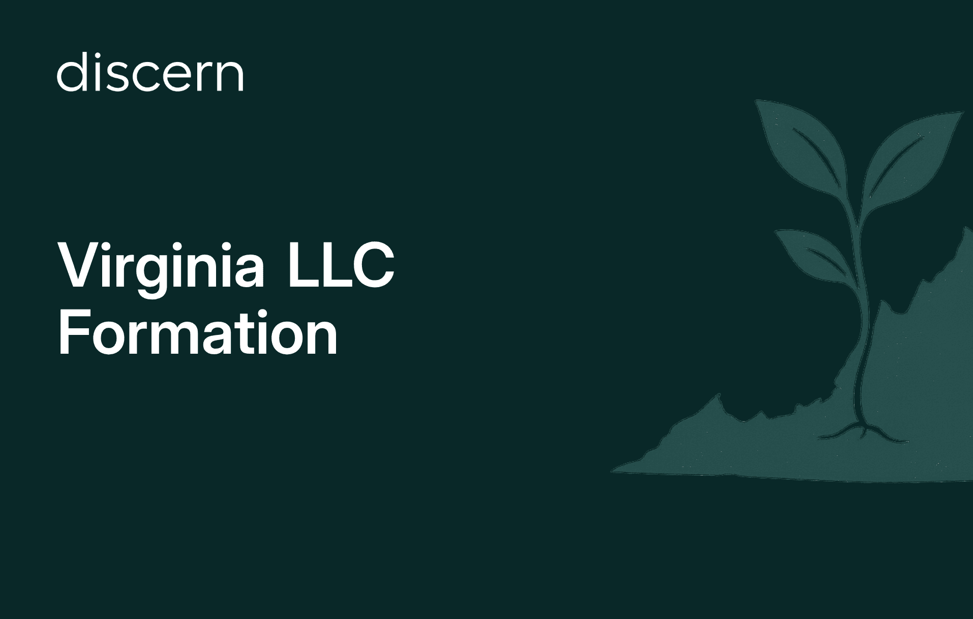 Discern: Virginia LLC Formation title with plant graphic