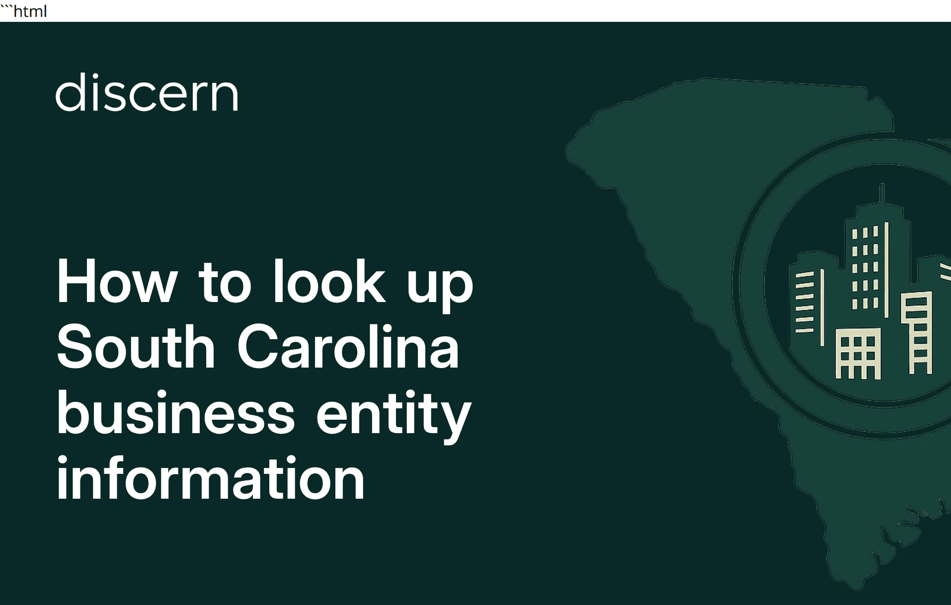 Guide: Look up South Carolina business entity info