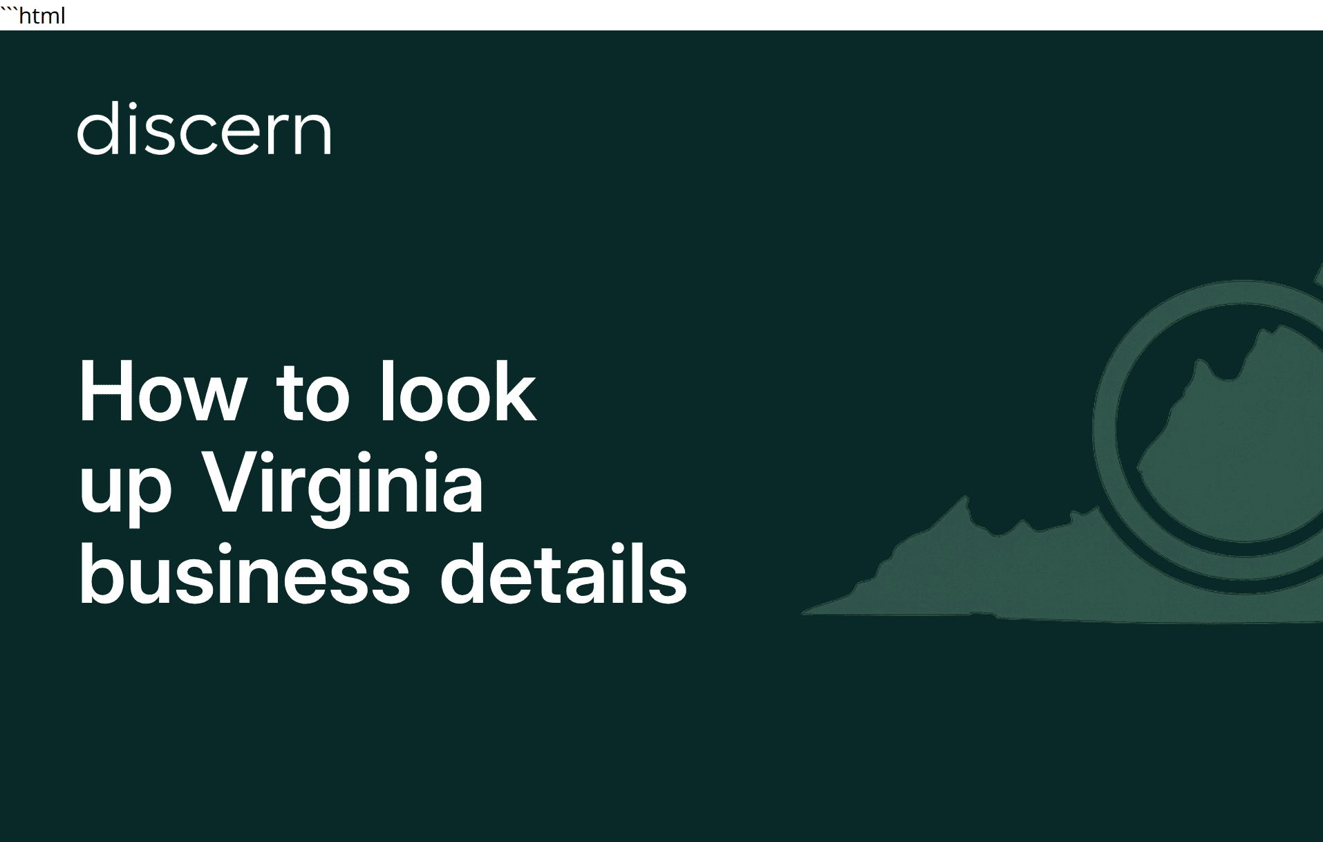 Guide: How to look up Virginia business details