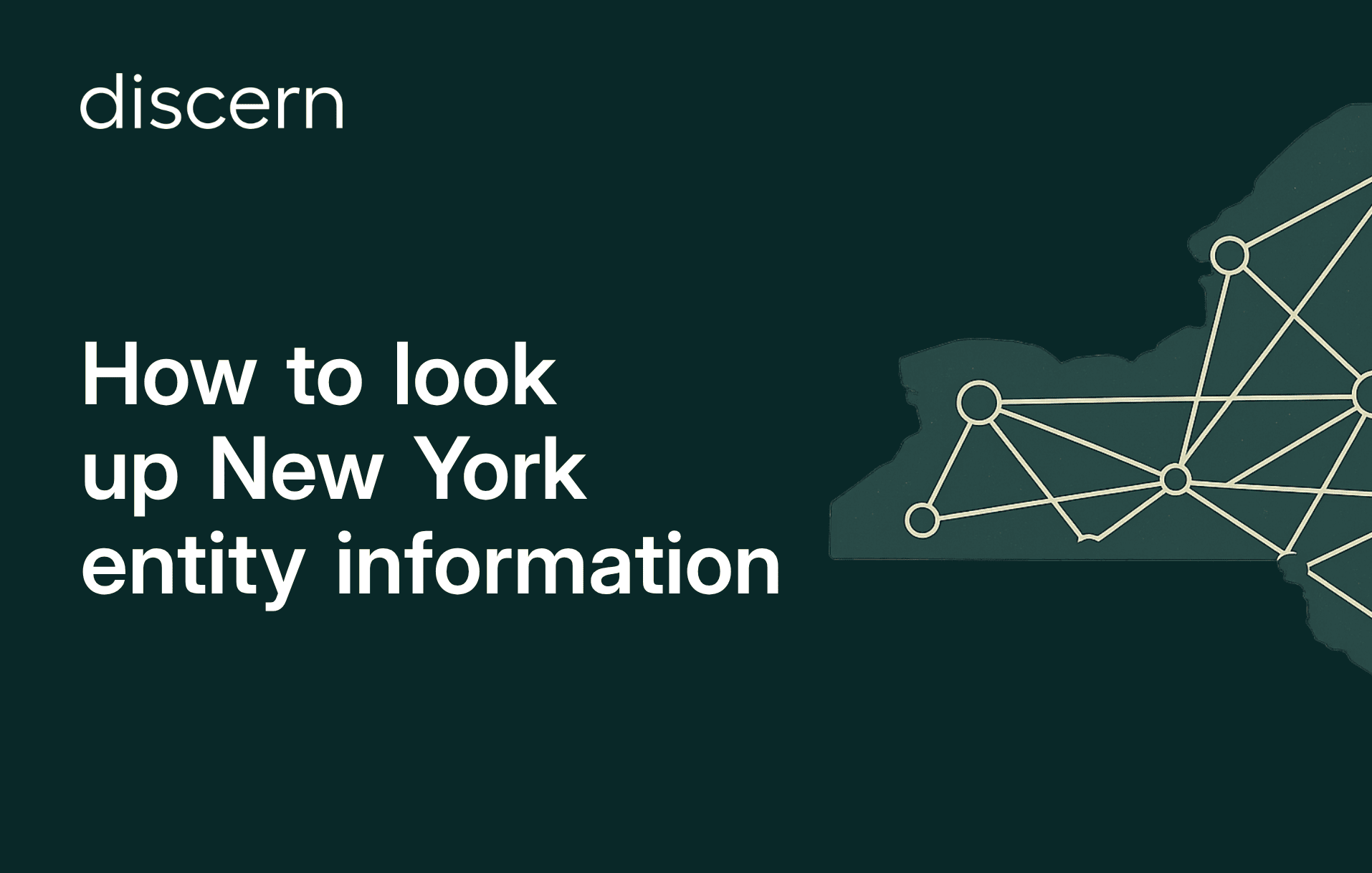 New York business entity search guide header