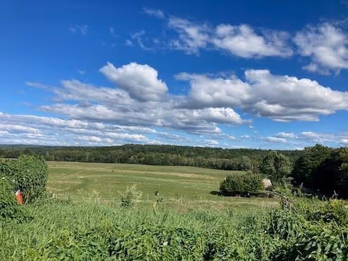 Farm ID 3631