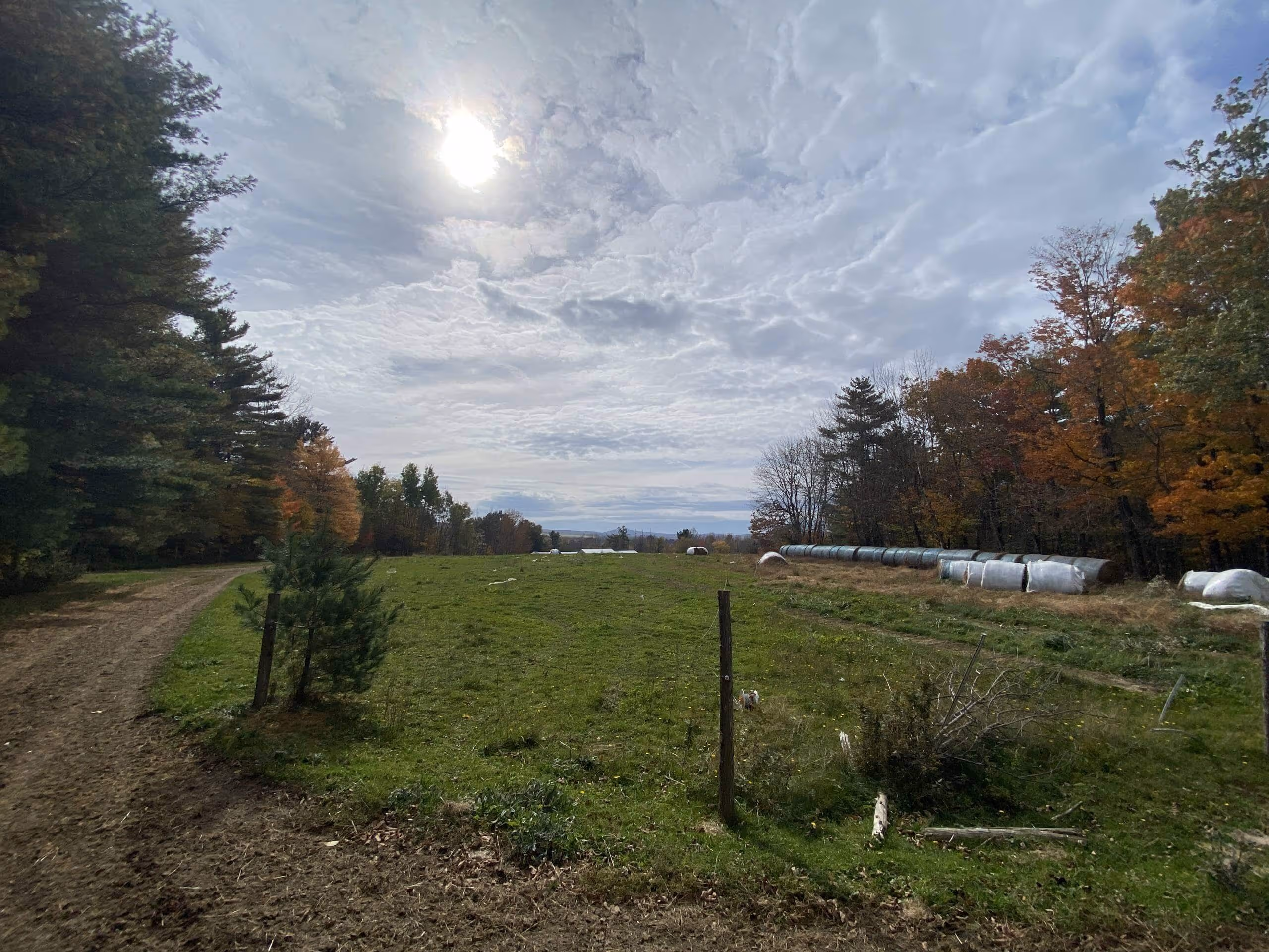 Farm ID 3601