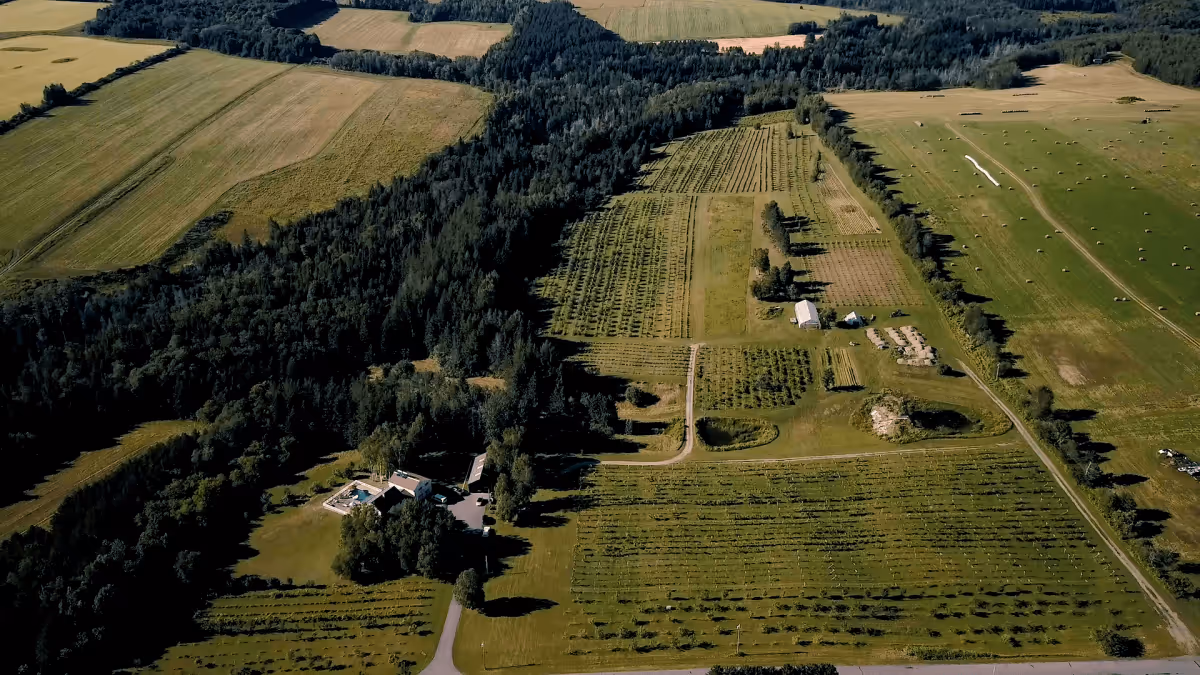 Farm ID 3417