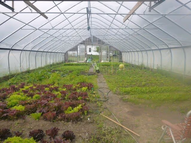 Farm ID 2479