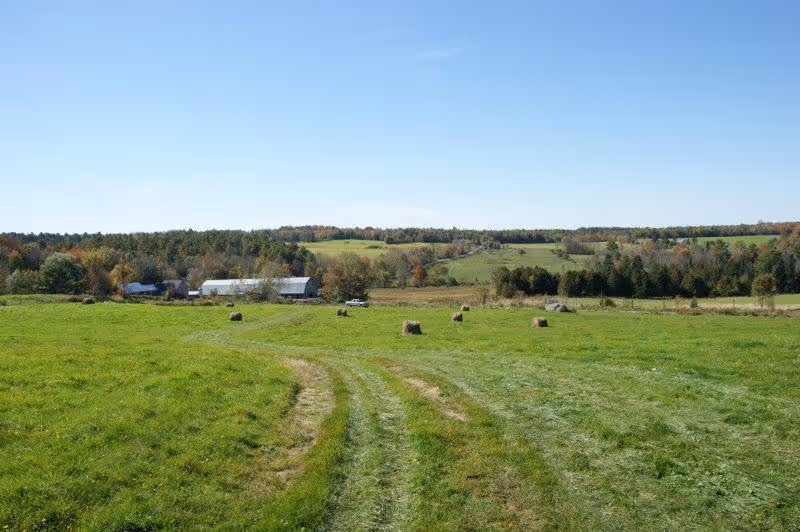 Farm ID 3716