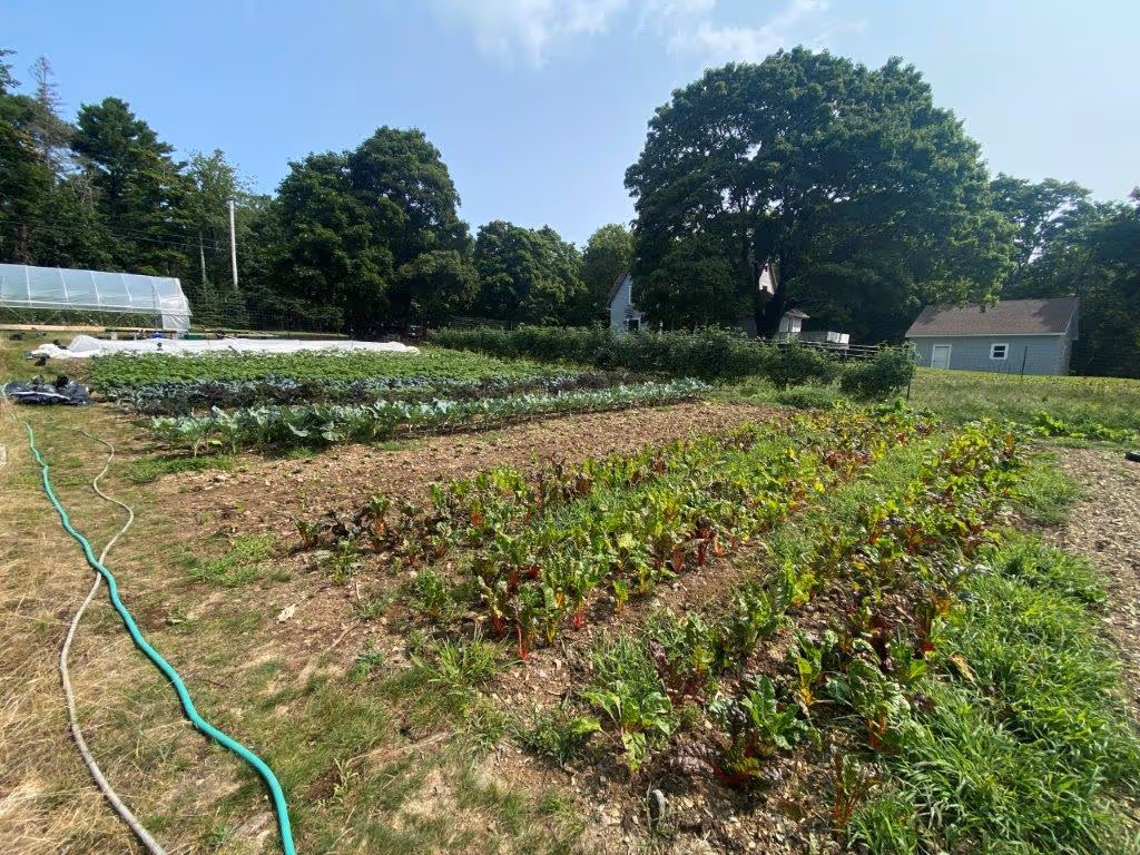 Farm ID 3653
