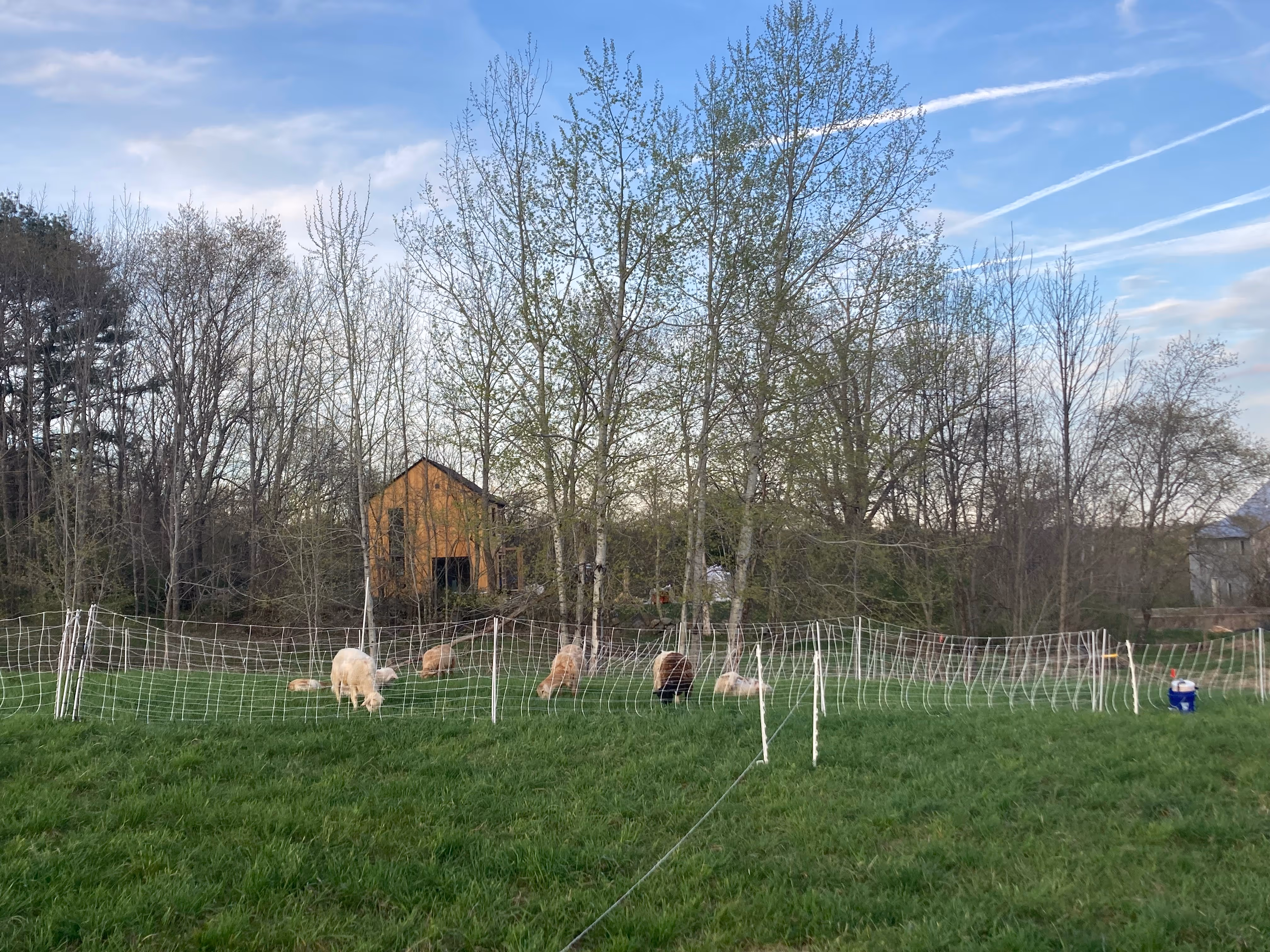 Farm ID 3743