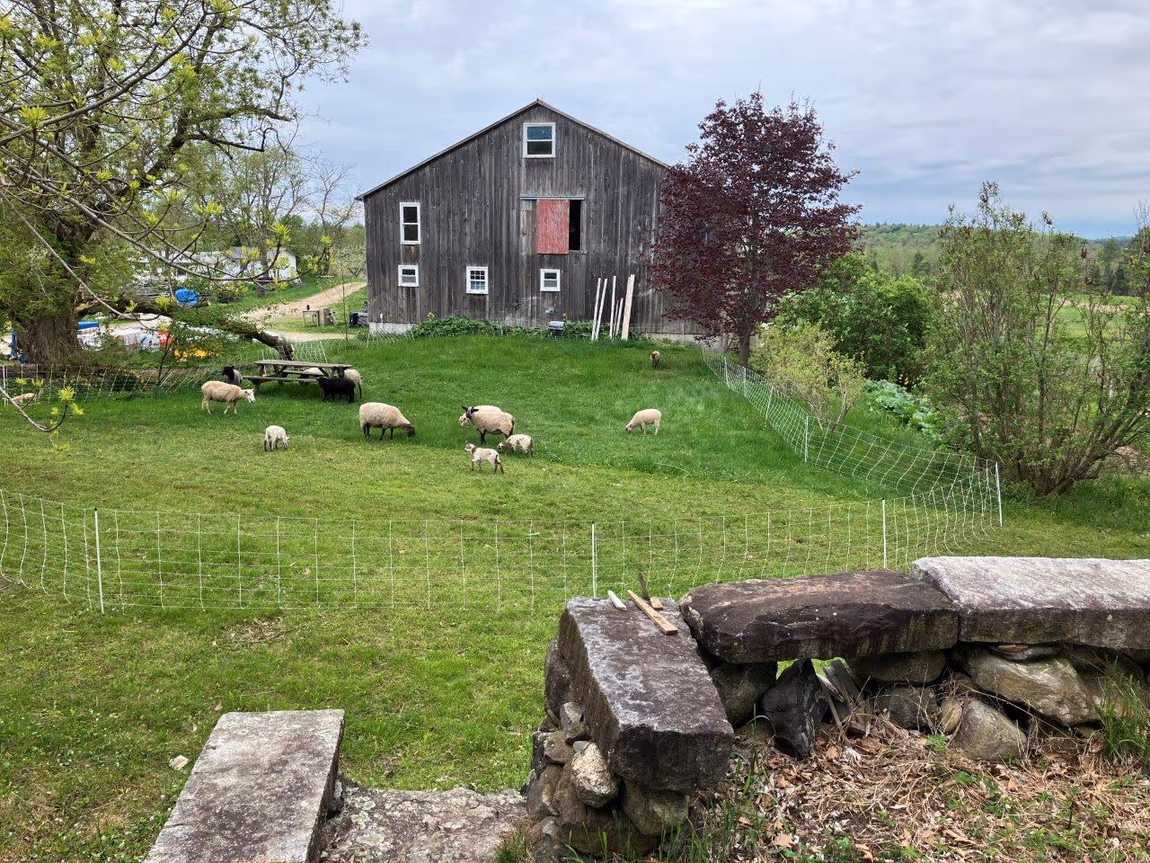 Farm ID 1600