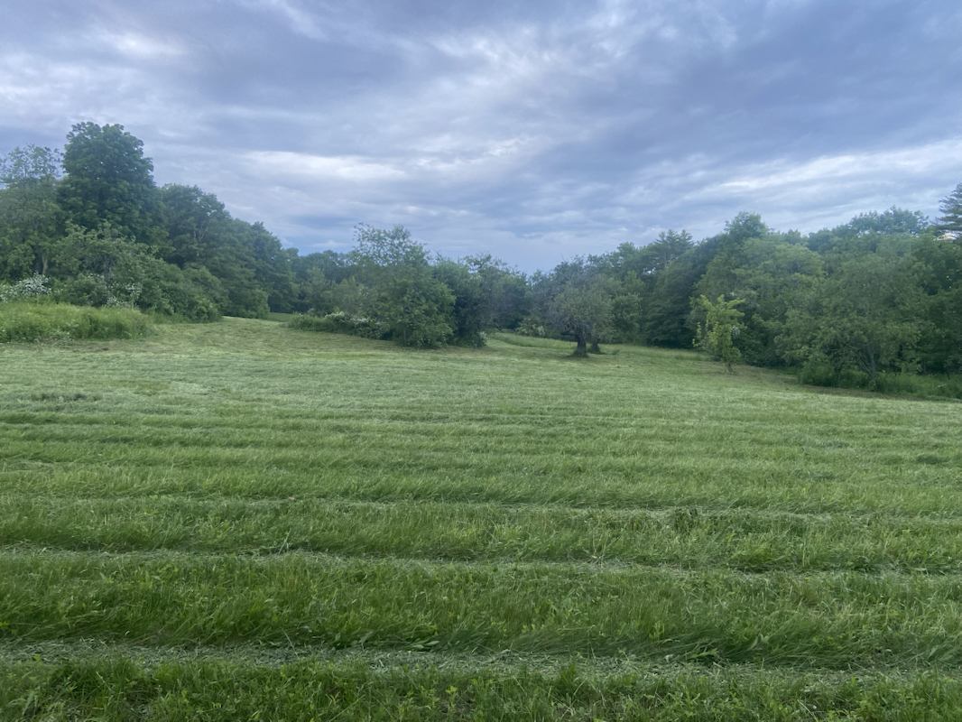 Farm ID 3820, 7 acres Alna