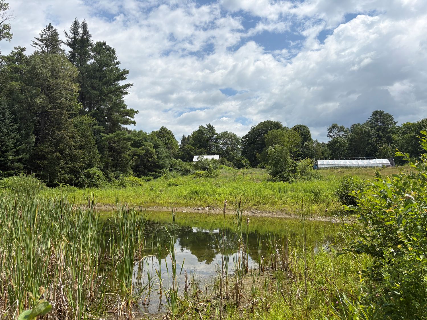 Farm ID 3825, 12 acres, 8 tillable, Cornville