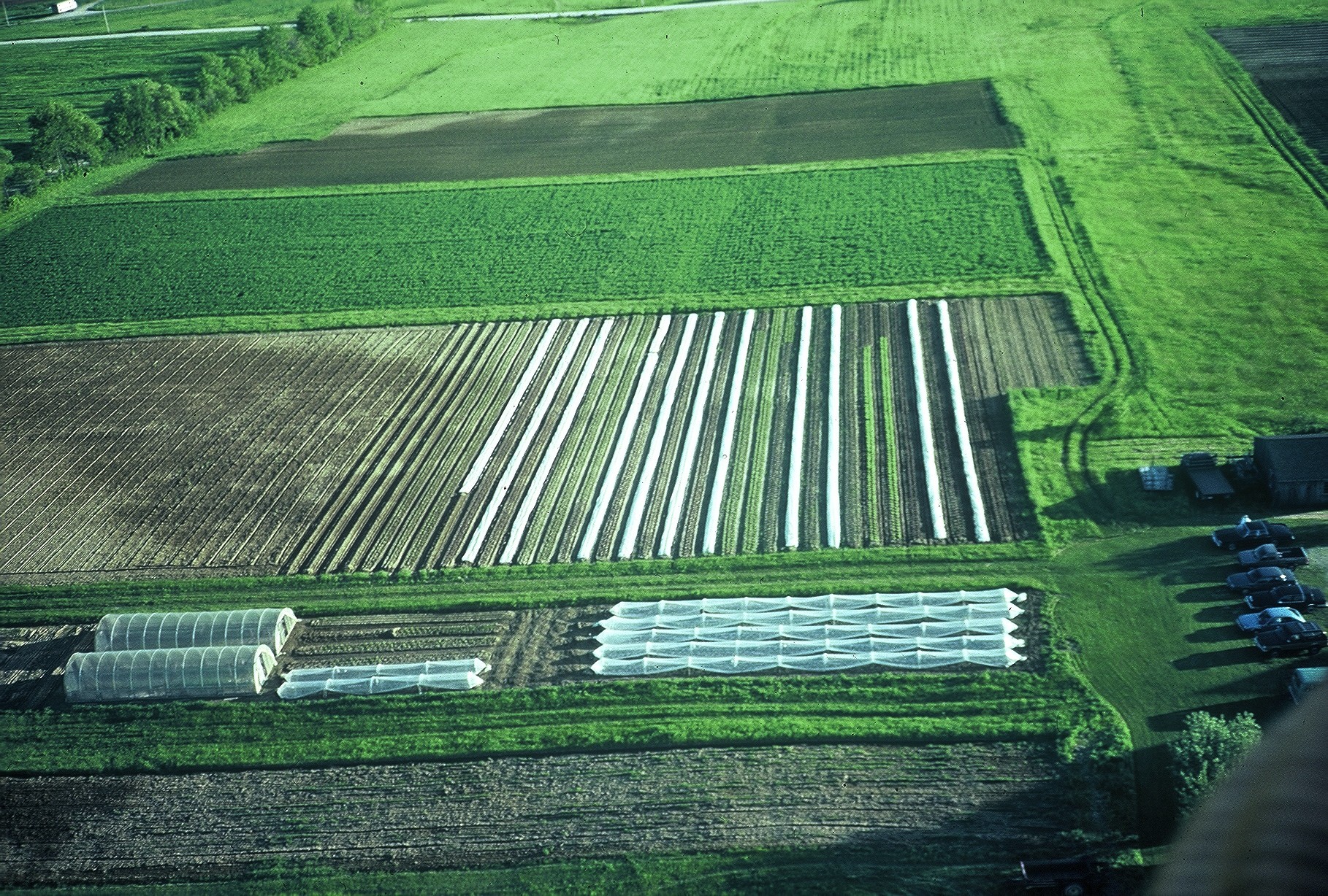 Farm ID 3828, 75 acres, 15 tillable, 1 orchard, Durham