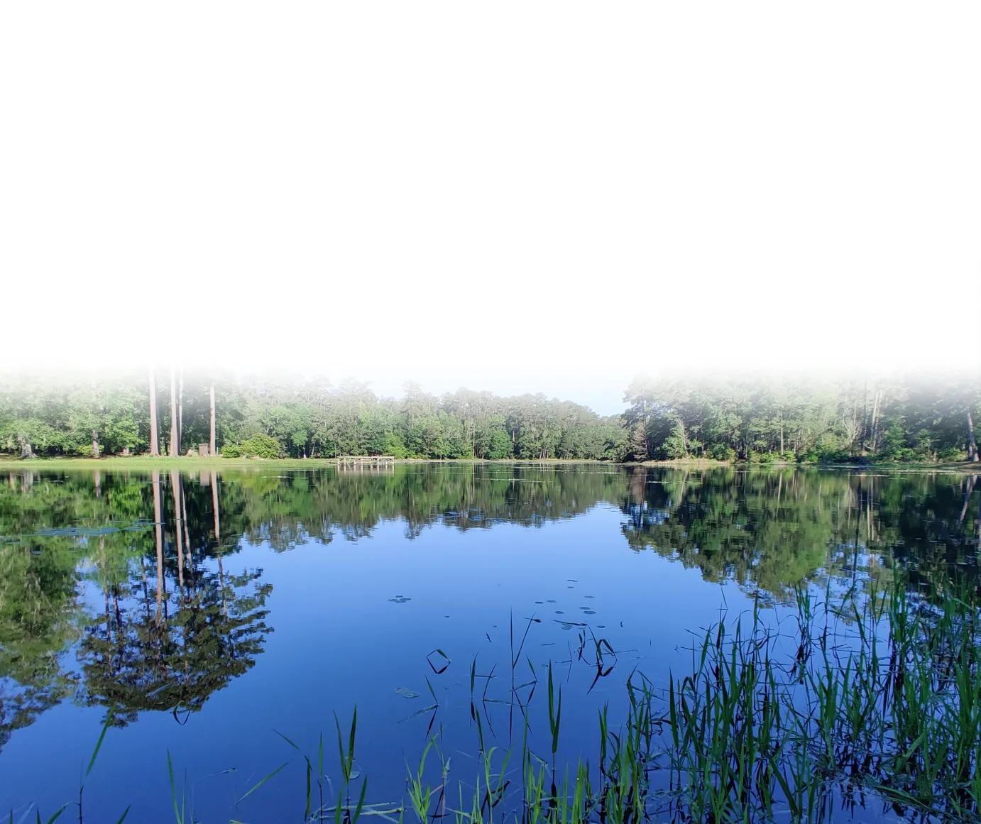 Environmental Services