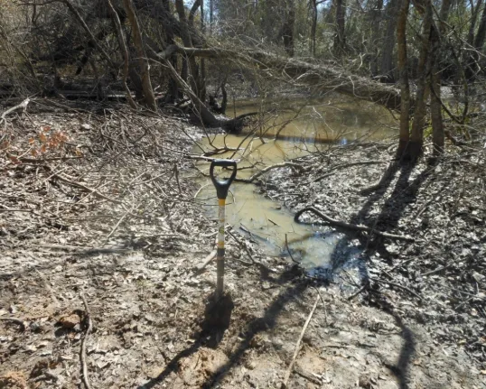 404/401 Permitting/Wetland Delineation/Mitigation