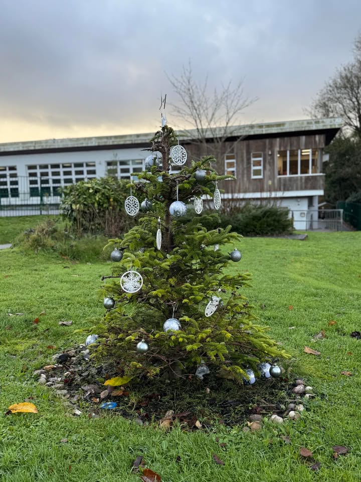 356497851842990_1401968218603469