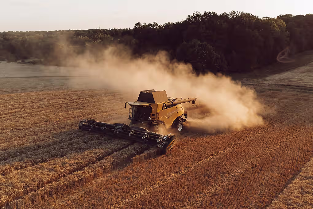Image qui représente l'activité proposée