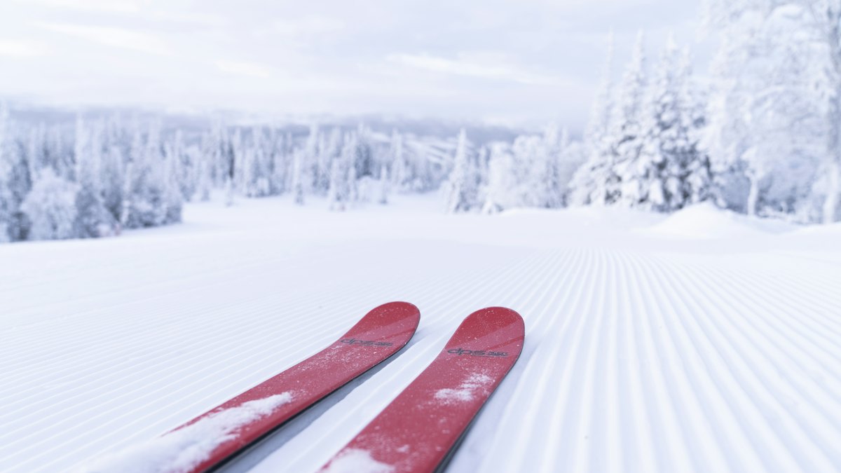 Paire de skis rouges posée sur une piste damée enneigée, en lisière d'une forêt de sapins.