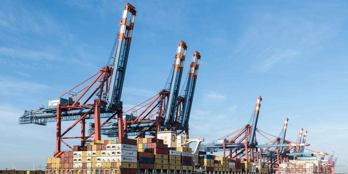 Iran and the Strait of Hormuz Disruption: List of Vessels Affected and What's Next for Ocean Supply Chains